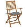 vidaXL Chaises pliables de jardin lot de 2 avec coussins Bois d'acacia