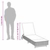 vidaXL Chaise longue avec roues et coussins gris clair résine tressée