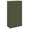 vidaXL Bo&icirc;te de d&eacute;p&ocirc;t de colis Vert olive 44 x 22 x 82 cm Acier