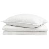 vidaXL Duvet d'&eacute;t&eacute; simple avec oreiller 2 pcs Blanc Plume de canard