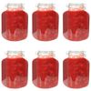 vidaXL Pots &agrave; confiture en verre avec serrure 6 pcs 5 L