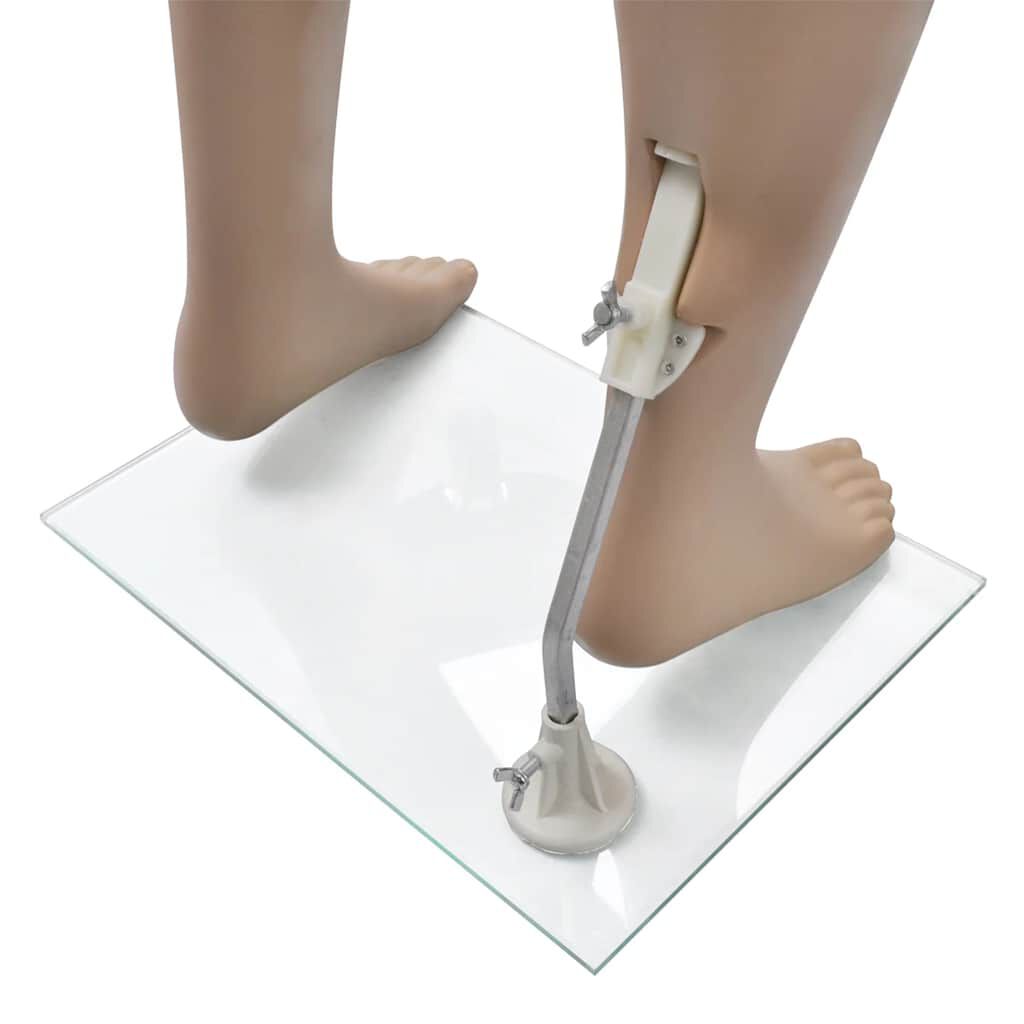 Mannequin Vitrine Homme Sans Tête - Corps Beige 176cm - Base Verre Et Support Aluminium
