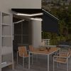 vidaXL Auvent r&eacute;tractable manuel avec store LED 3,5x2,5 m Anthracite