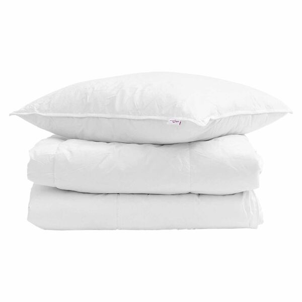 vidaXL Duvet d'hiver avec oreiller 2 pcs Blanc Plume de canard