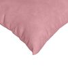 vidaXL Coussins de canapé 2 pcs Rose 60 x 60 cm