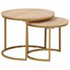 vidaXL Tables basses gigognes 2 pcs Bois de mangue massif et acier