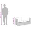 vidaXL Canapés d'angle de jardin et coussins 2 pcs noir résine tressée