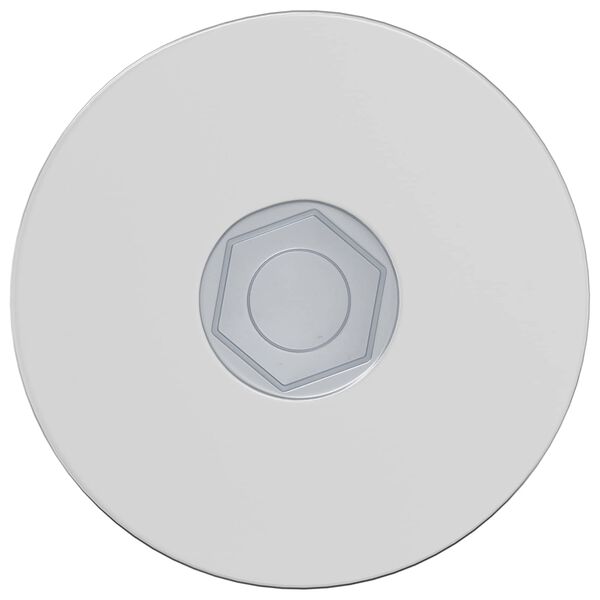 vidaXL Vis 2 pcs Zinc&eacute; 5 x 40 mm Fer