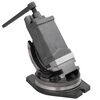 vidaXL &Eacute;tau inclinable &agrave; 2 axes 100 mm