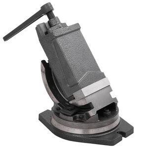vidaXL &Eacute;tau inclinable &agrave; 2 axes 100 mm