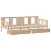 vidaXL Lit de jour avec tiroirs sans matelas 90x200 cm bois massif