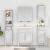 vidaXL Armoire de salle de bain avec porte FLORO Blanc 35 x 30 x 90 cm