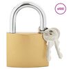 vidaXL U Lock avec Cl&eacute;s 100 pcs Laiton Fer