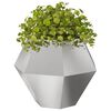 vidaXL Jardini&egrave;re 2 pcs Argent 100 x 100 x 80 cm Acier inoxydable