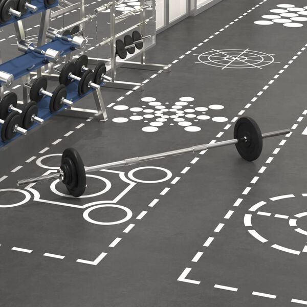 vidaXL Ensemble d'halt&egrave;res avec plaques 30 kg fonte