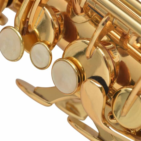 vidaXL Saxophone alto laiton jaune avec laque dor&eacute;e Eb