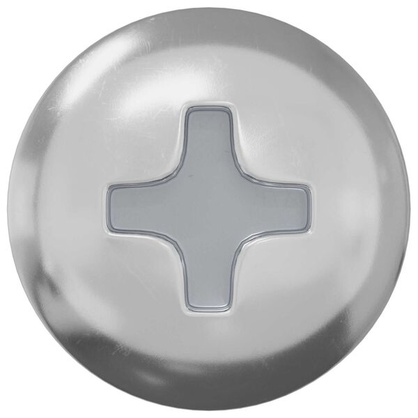 vidaXL Vis 2 pcs Argent&eacute; 9,8 x 35 mm Fer