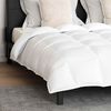vidaXL Ensemble de Duvet avec oreiller 3 pcs Blanc Plume de canard
