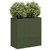 Olive_green