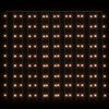 vidaXL Rideaux lumineux &agrave; LED 3x3 m 300 LED Blanc chaud 8 fonctions