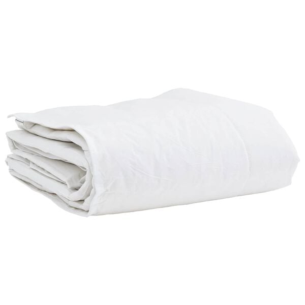 vidaXL Duvet d'hiver avec oreiller 2 pcs Blanc Plume de canard
