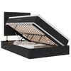 vidaXL Lit de rangement LED avec matelas Noir 120 x 200 cm Velours