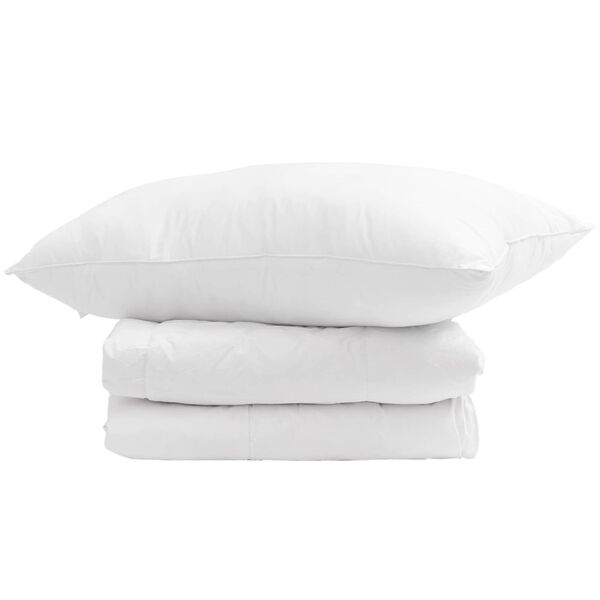 vidaXL Duvet d'hiver avec oreiller 2 pcs Blanc Plume de canard