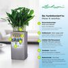 LECHUZA Jardini&egrave;re CANTO Stone 40 High ALL-IN-ONE Gris pierre