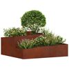 vidaXL Cache-pot de jardin Marron 100 x 100 x 50 cm Acier patin&eacute;
