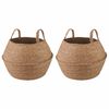 vidaXL Pot de plante avec poign&eacute;es 2 pcs Naturel &Oslash; 45 x 36 cm