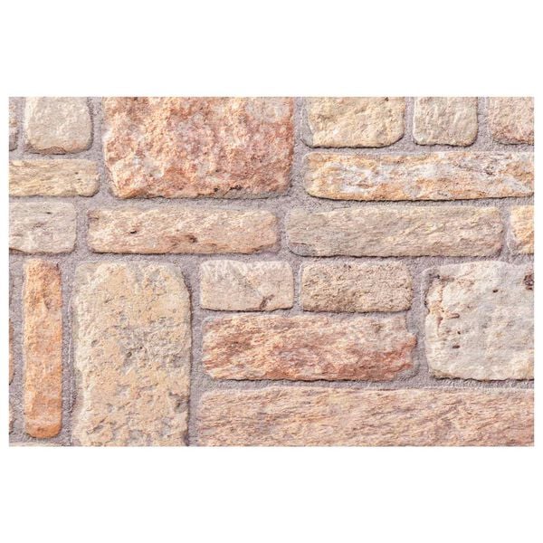 vidaXL Panneaux muraux 10 pcs Marron clair et blanc 100 x 50 cm