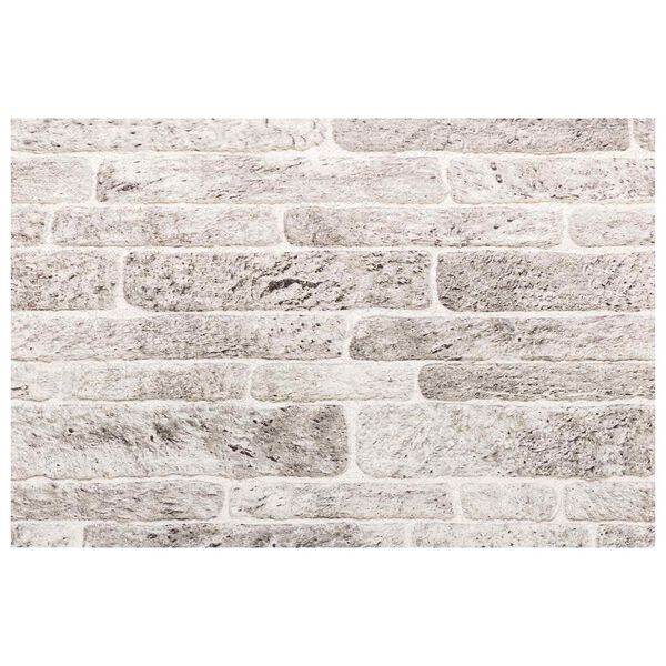vidaXL Panneaux muraux 10 pcs Gris clair et blanc 100 x 50 cm