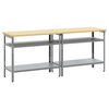 vidaXL Ensemble d'établi Réglable 2 pcs Gris 200 x 55 x 85 cm Acier