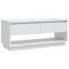vidaXL Meuble TV blanc brillant 102x41x44 cm bois d'ingénierie