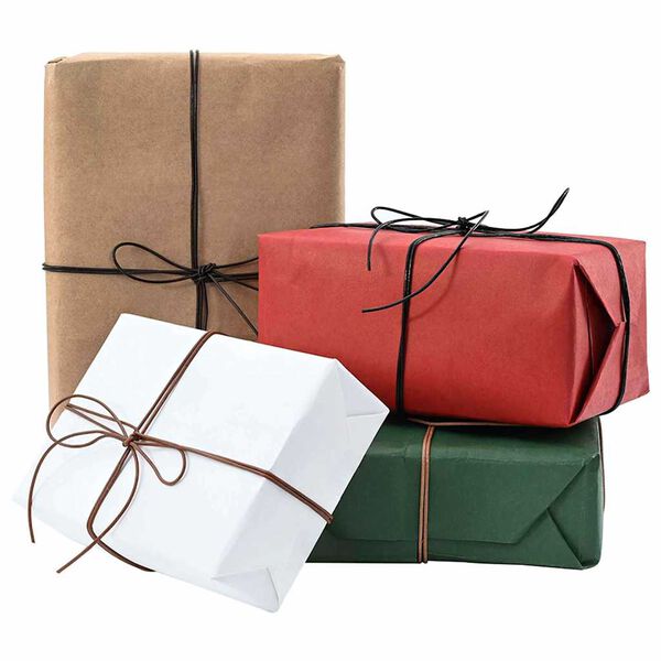 vidaXL Corde en Cuir Marron Clair Ø1,5 mm x 10 m Cuir