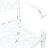 vidaXL Chaise de jardin 2 pcs Blanc 56 x 55 x 92,5 cm Aluminium