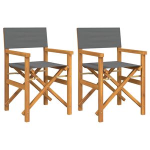 vidaXL Chaises de metteur en sc&egrave;ne pliantes lot de 2 Bois teck massif
