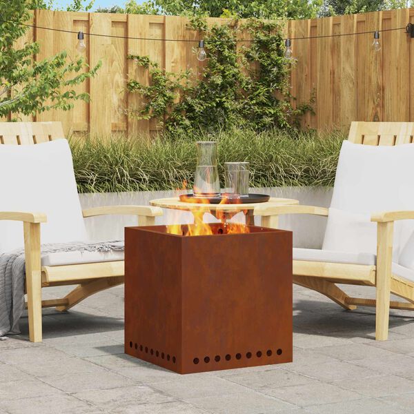 vidaXL Foyer sans fum&eacute;e Marron 48 x 48 x 50 cm Acier patin&eacute;