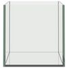 vidaXL Aquarium avec stockage Transparent 30 x 20 x 20 cm Verre