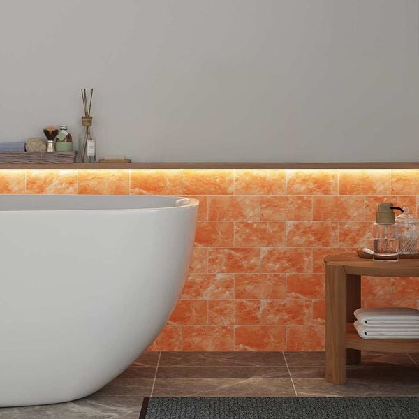 vidaXL Pierre de Sel 10 pcs Rose 20 x 5 x 10 cm Sel de Roche