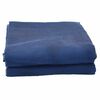 vidaXL Tapis de tente Bleu 800 x 350 cm Polyester
