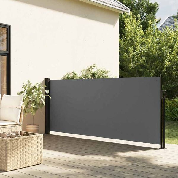 vidaXL Store lat&eacute;ral r&eacute;tractable Anthracite 100x300 cm