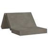 vidaXL Canap&eacute;-lit pliable 100 x 67 x 45 cm Gris clair