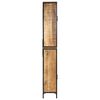 vidaXL Armoire de salle de bain 40x27x180 cm fer et bois de manguier