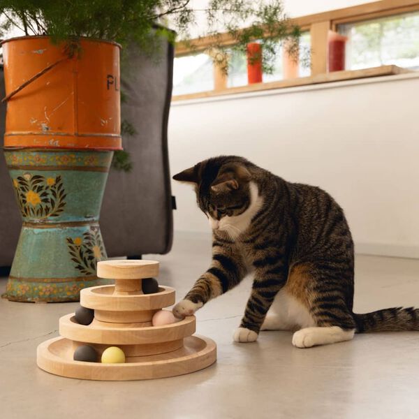 Designed by Lotte Tour de jeu pour chats Mia 26x14,5 cm Bois
