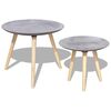 vidaXL Ensemble de table d'appoint/table basse 2 pcs 55 cm et 44 cm