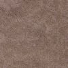vidaXL Tapis de bain antid&eacute;rapant Marron 50 x 80 cm PP