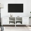 vidaXL Meubles TV 2 pcs blanc 68x39x50,5 cm acier
