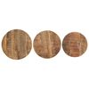 vidaXL Tables d'appoint 3 pcs Bois de manguier brut