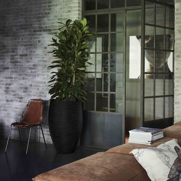 Capi Pot &agrave; fleurs Nature Rib &Eacute;l&eacute;gant Deluxe 40 x 60 cm Noir KBLR1131